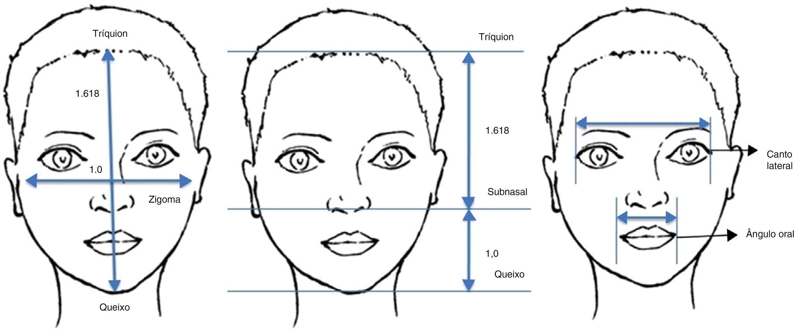 Формы лба у женщин. Считаются лица указанные в его. Идеальные пропорции лица в профиль. Золотое сечение в анатомии. Золотое сечение в пропорциях лица человека.