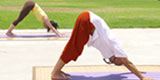 Downward Facing Dog Pose - Adho Mukha Shvan Asana. Screenshot from the Hello Heart Yoga Session DVD.
