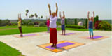 Raised Arm Pose - Hasta Utthan Asana. Screenshot from the Hello Heart Yoga Session DVD.