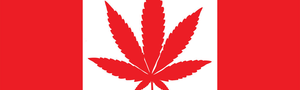 marijuana