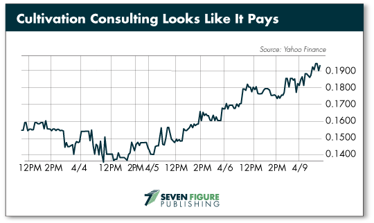 Culitvating Consulting
