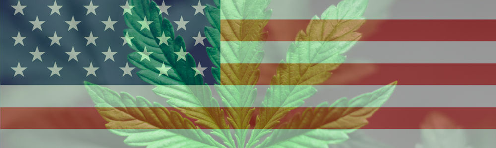 pot stocks