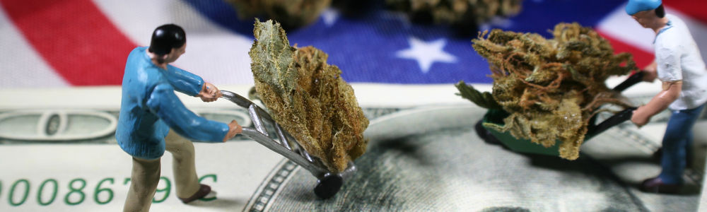 Marijuana Stocks