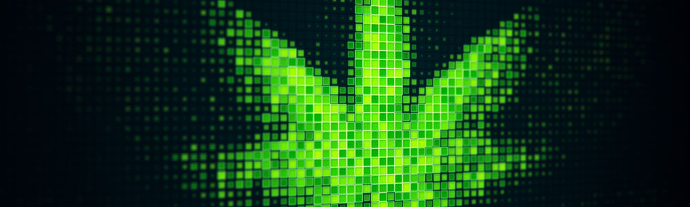 cannabis delivery