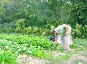 Seth Hancock checks crop Seth Hancock checks crop