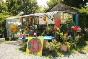 The Tomato Place in Vicksburg, MS.
