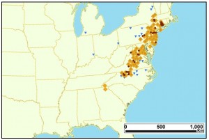 Photo of map of cicada swarms expected on East Coast