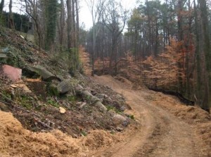The 4.5 mile Southwest BeltLine Connector Trail is to link the existing Lionel Hampton Trail and Westwood Avenue, passing Beecher Elementary School. Credit: Atlanta BeltLine