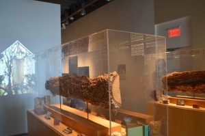 A Walk in the Valley, museum style display. A Walk in the Valley, museum style display.