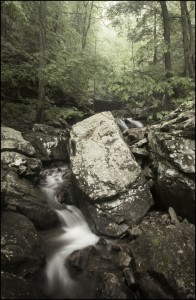 Sutton Gulch Creek in Cloudland Canyon State Park. Photograph by Diane Kirkland (DianeKirklandPhoto.com)