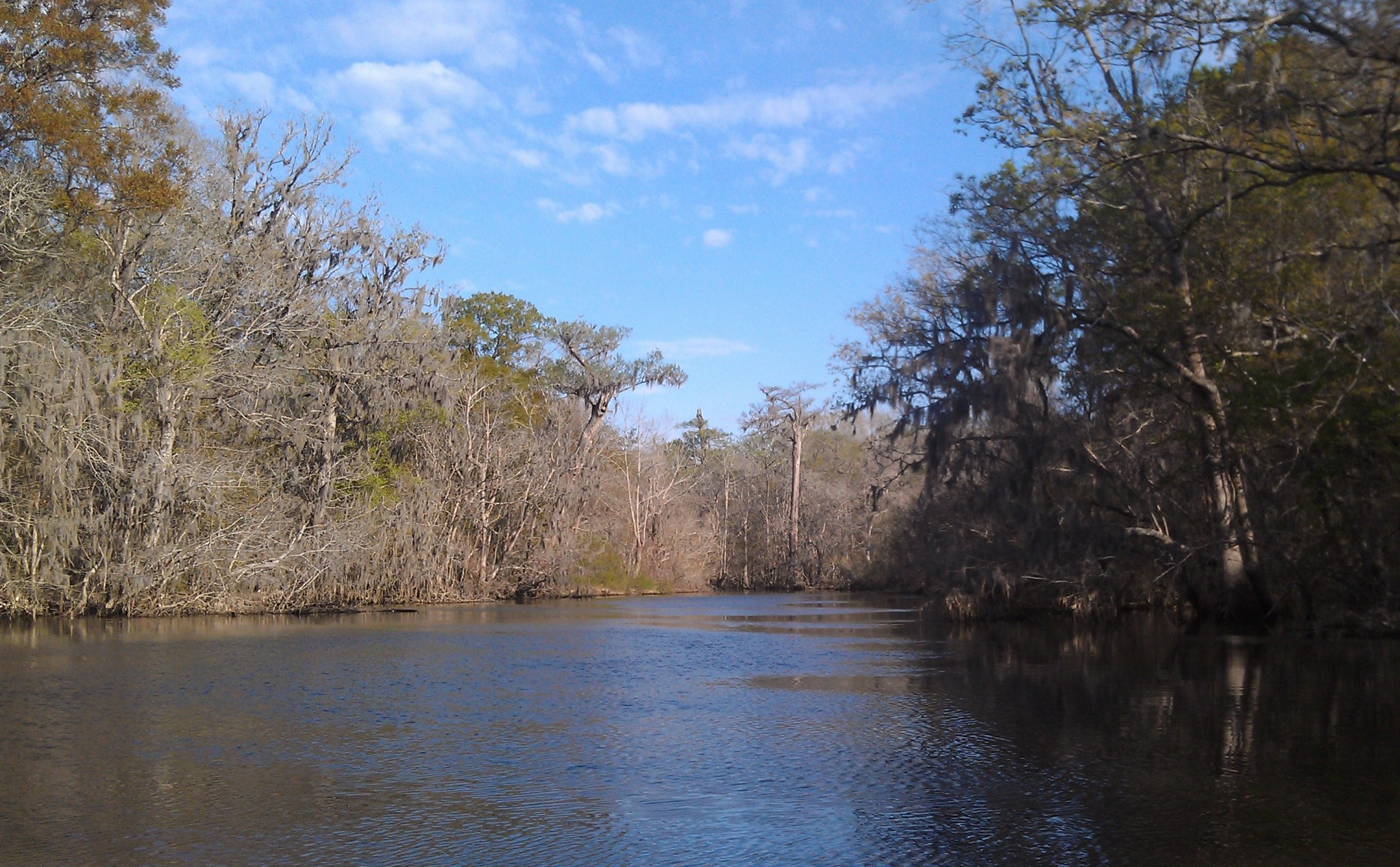 Nature Conservancy buys, protects Lake along Altamaha River
