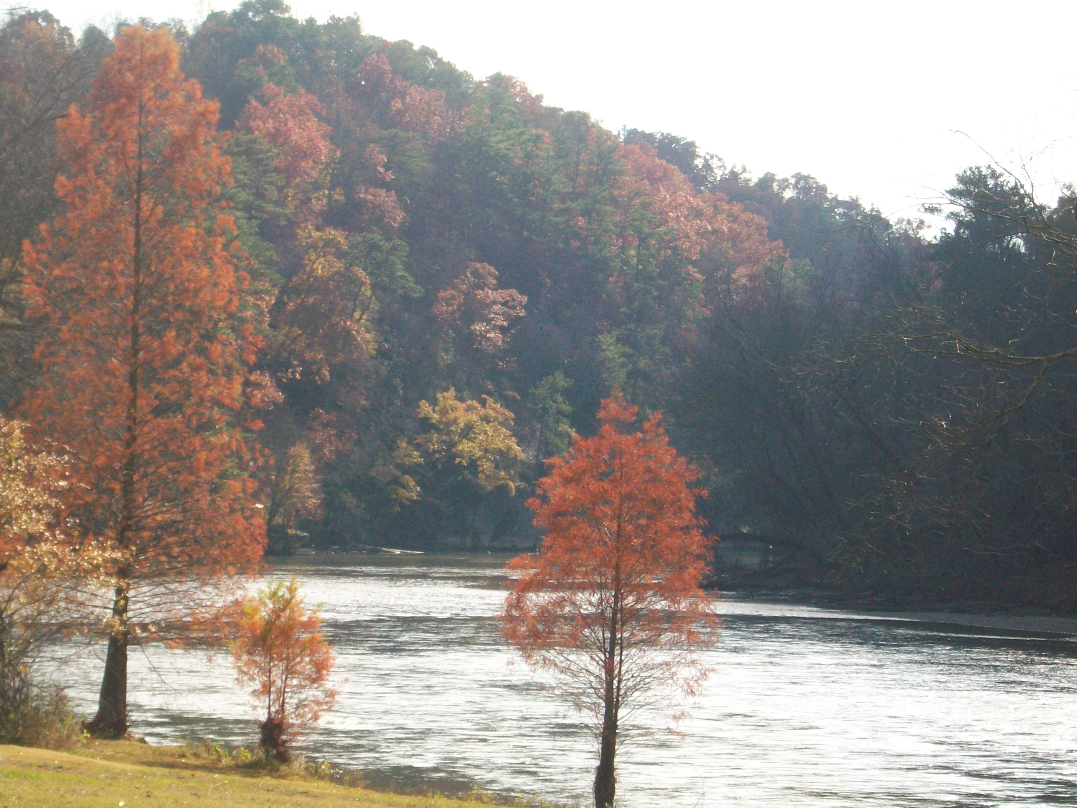 Sandy Springs faces test of its vision for a pleasant, walkable downtown SaportaReport