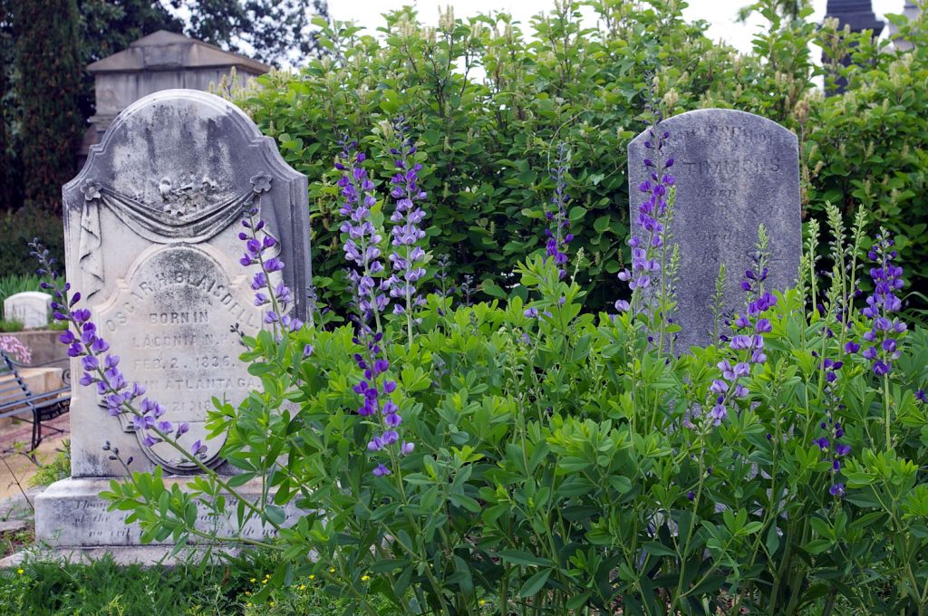 Oakland Cemetery