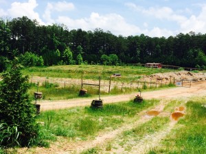 KSU, farm