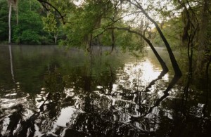 Ogeechee River