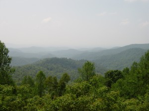 Cohutta Wilderness Area