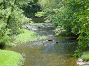 Conasauga River, headwaters
