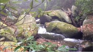 Conasauga River in fall
