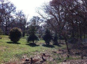 Ashview Heights