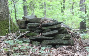 Dacula Indian mounds