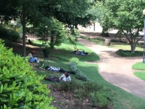 Hurt Park, napping
