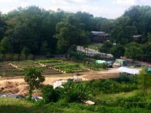 Collegetown Farm
