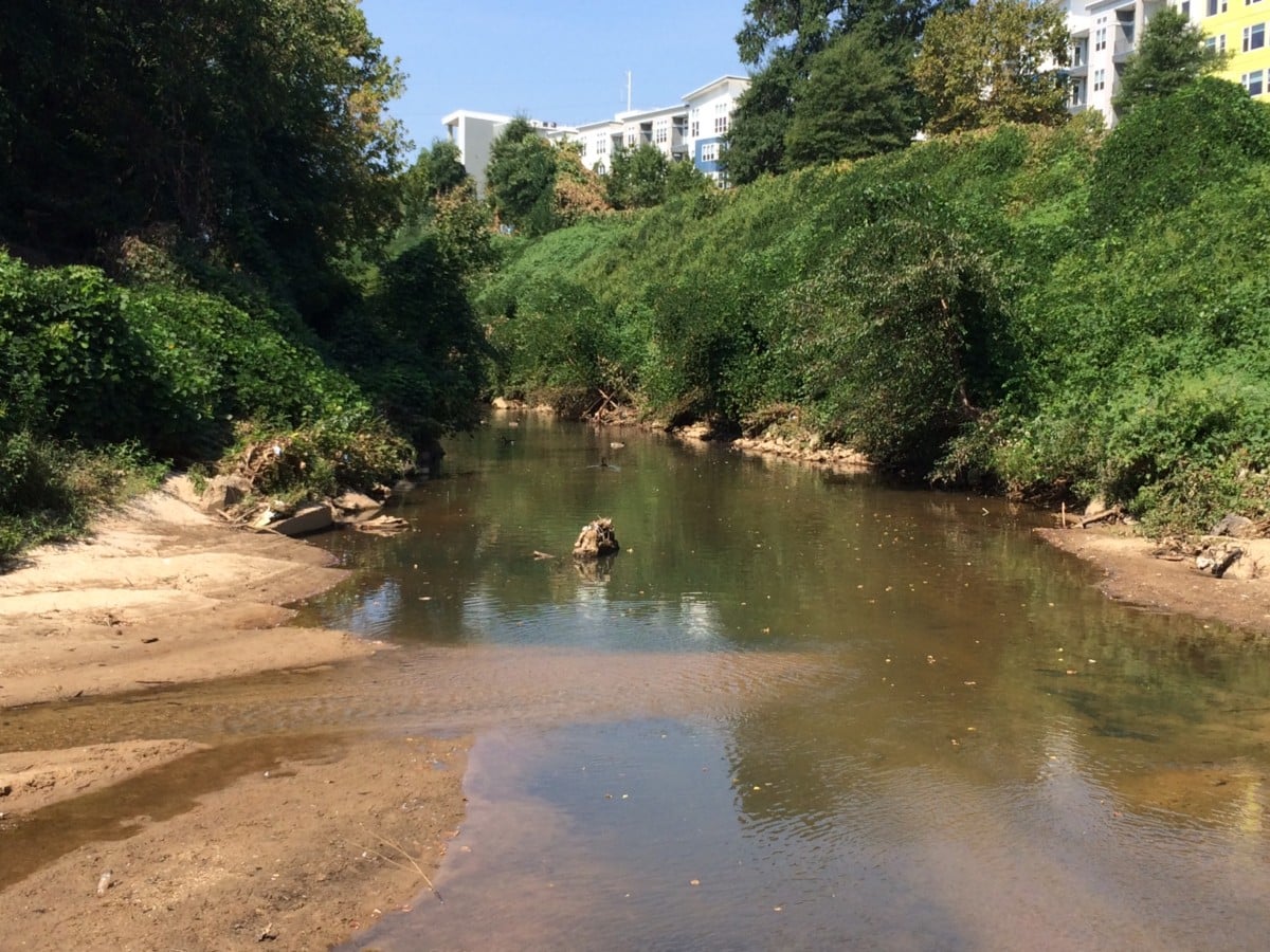 Peachtree Creek at confluence, 9:9:16