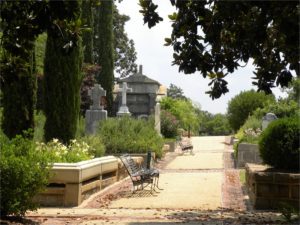 Oakland Walking Path