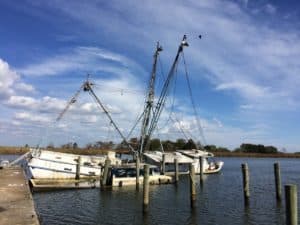 Apalachicola, Lady Louise