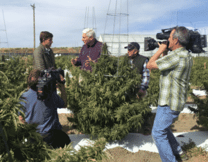 Dr. John LaPook of "60 Minutes" interviews Marijuana Entrepreneurs in Colorado