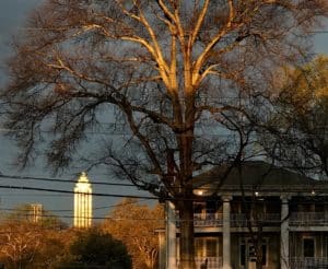 tree on moreland