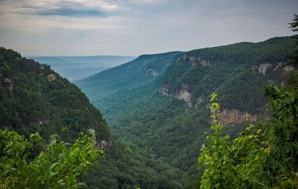 Cloudland Canyon