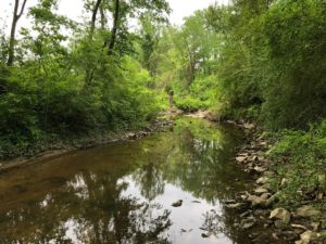 Tanyard Creek