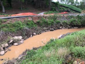 Tanyard Creek