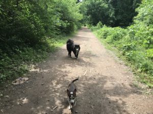 BeltLine