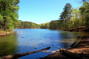 Lake Allatoona