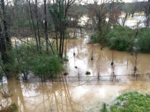 flood conditions