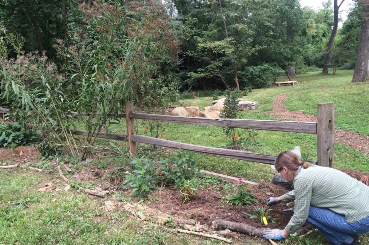 Wylde Center, Hawk Hollow Garden