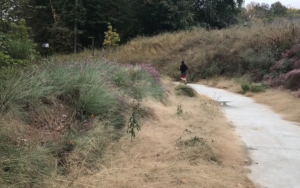 Atlanta BeltLine, jogger, westside