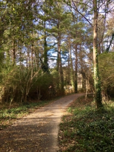 henderson park, nature trail