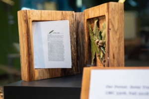 tech, tree, exhibit