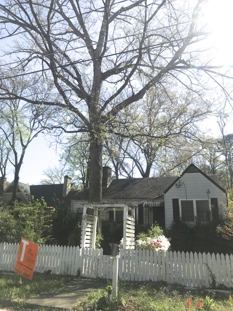 Daniel Ave 1, Kolb