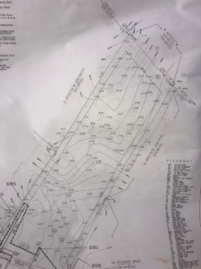 tree map, blackland