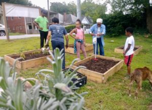Gil Frank, community garden