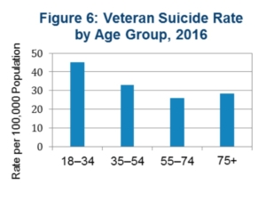 Shepherd Center, suicide rate by age
