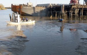 manatee rescue, imperial sugar
