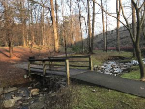 Allen Park, sandy springs, creek