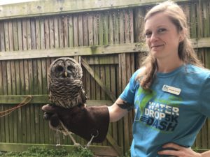 Chattahoochee Nature Center, owl