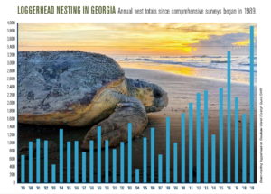 Loggerhead Nesting Chart 1989-2019
