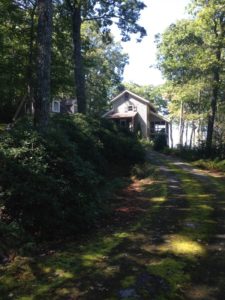 Willis, cabin